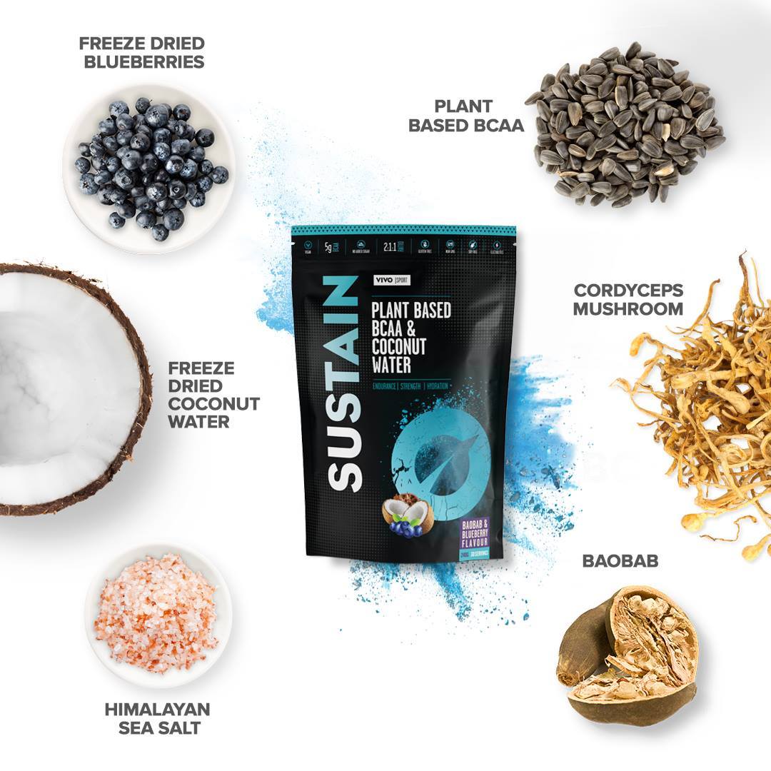 Sustain Plant Based BCAA & Coconut Water With Cordyceps Mushroom